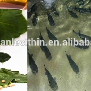 Lecitina de soja líquido como una mezcla primeros auxilios para fish