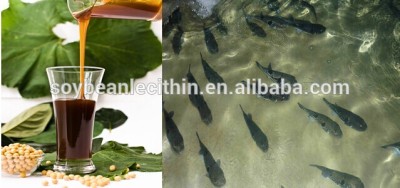 Lecitina de soja líquido como una mezcla primeros auxilios para fish