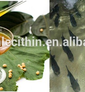 Soya best lecithin for fish feed additives