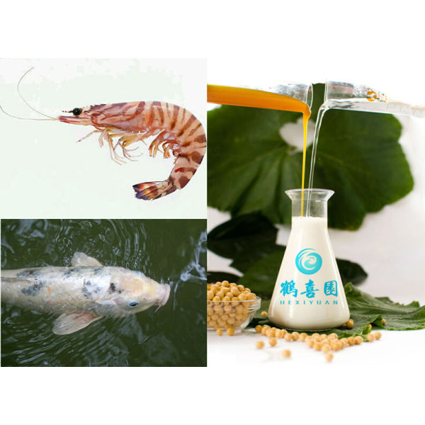 Soja lecitina como alimentos para peixes ingredientes