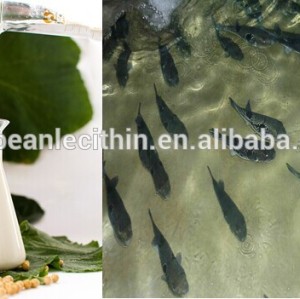 Soybean water soluble lecithin