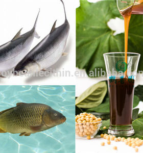 soya lecithin for Fish feed ingredients
