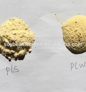 Hydrolyzed soya lecithin powder(98%)