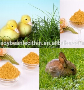 Food Grade Organic Lecithin With High Quality