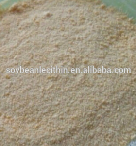 soy free foods lecithin powder plw coffee grade