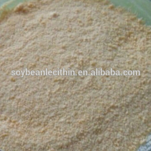 High Quality Pure Soy Lecithin Powder Organic Soy Lecithin Extract