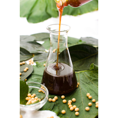 Soya lecithin for paint coating, printing