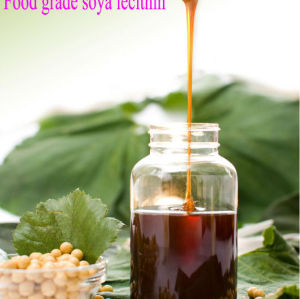 Alimentos orgânicos ingrediente fluido soja soja lecitina