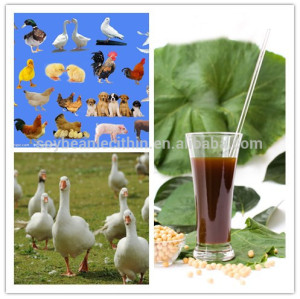 L'alimentation des poulets ingrédients lécithine de soja