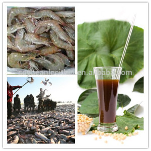 De lécithine de soja pour fabrication poisson