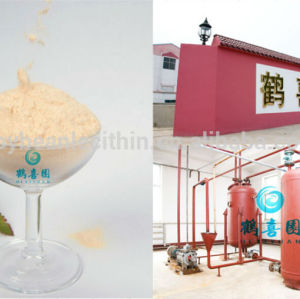 Fornecimento de fábrica em pó comestível soja lecitina