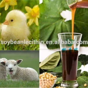 De lécithine de soja pour l'alimentation animale