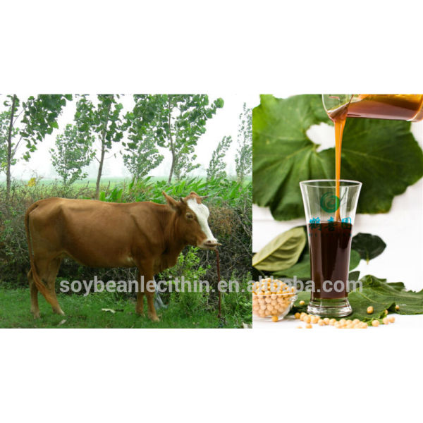 Animal nutricional productos lecitina de