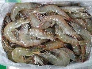 Additif de lécithine de soja pour aliments pour crevettes