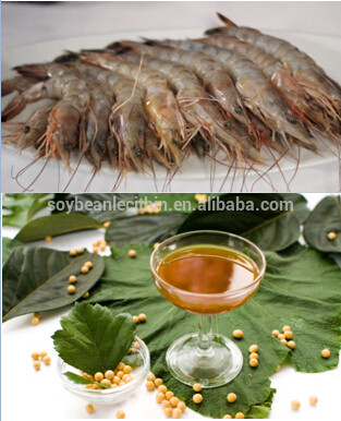 De lécithine de soja pour crustacés et aliments pour poissons