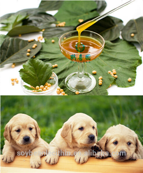 Lécithine pour chiens d'alimentation complément