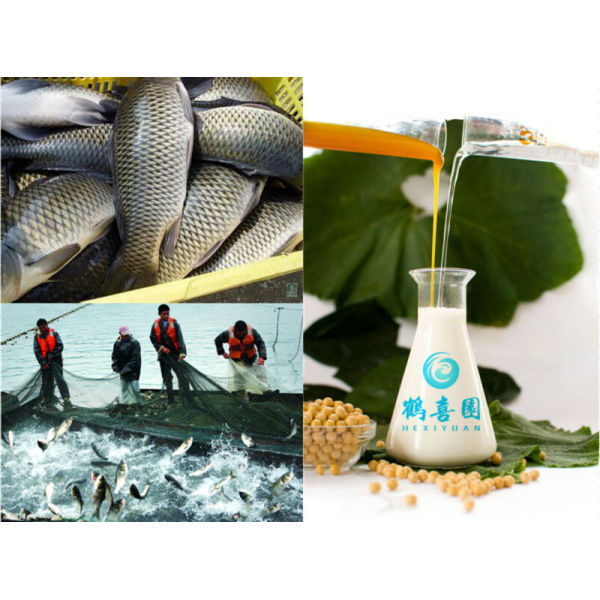 Orgánico lecitina de alimentos para peces ingredientes
