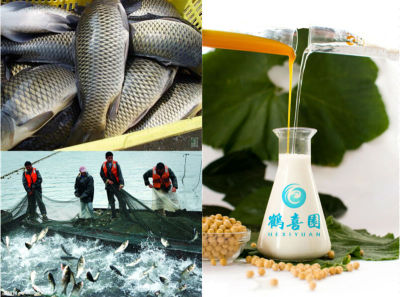 Organique de lécithine de soja aliments pour poissons ingrédients