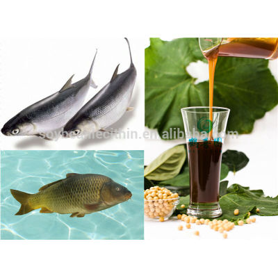 Lecitina de para alimentos para peces ingredientes