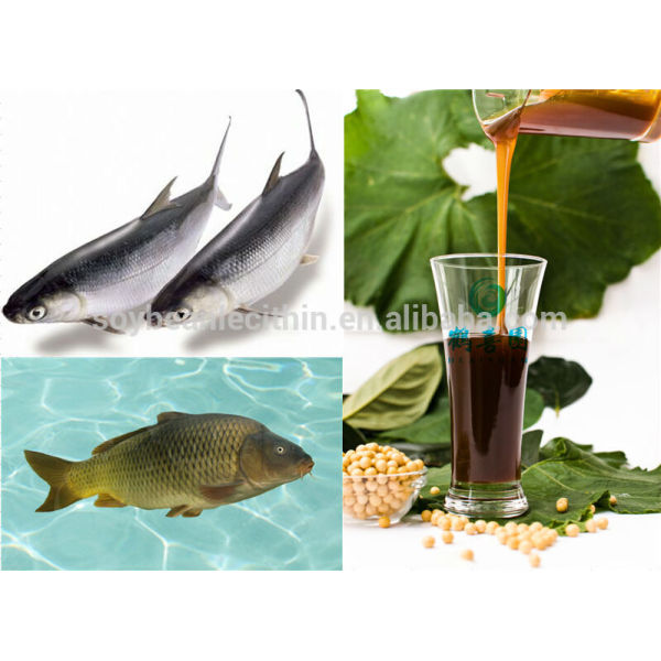 Lecitina de para alimentos para peces ingredientes