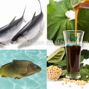 Soja lecitina de alimentos para peixes ingredientes