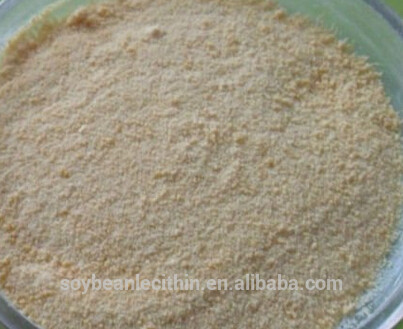 Haute qualité pur lécithine de soja poudre organique lécithine de soja extrait