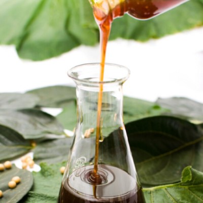 enriched/concentrated soya lecithin