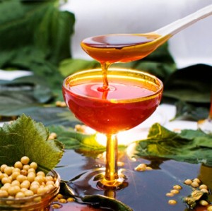 soybean lecithin extracts liquid and powder