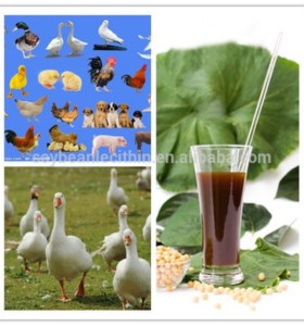 broiler poultry feed Grade fluid  soya /soy lecithin