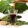 broiler poultry feed Grade fluid soya /soy lecithin