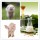 2S hydrolysed Halal ISO feed grade liquid soy soya soybean lecithin granulesten factory