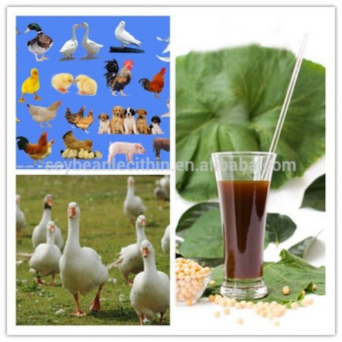 broiler poultry feed Grade soya lecithin lecithin