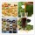 emulsifier lucid lecithin soy liquid soybean extract