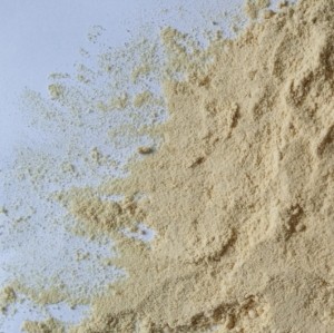 soya lecithin powder