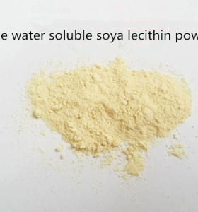 NON GMO Soya Lecithin Powder Feed Grade