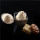 HXY-PLW organic soybean lecithin powder