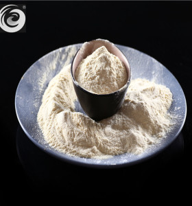 Soybean/soya lecithin powder for food additives