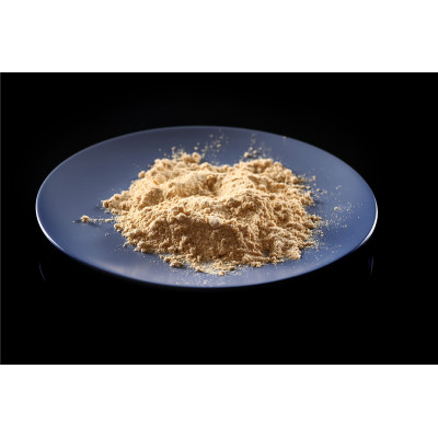 Oil-Soluble Soya Lecithin Powder for Frozen Foods (HXY-PLP)