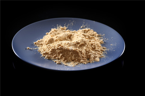 Oil-Soluble Soya Lecithin Powder for Frozen Foods (HXY-PLP)