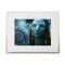 12inch Digital Photo Frame /beautiful photo frames/ Advertisement Player