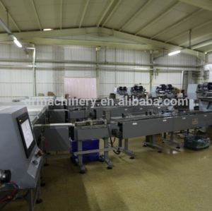 Automatic feeding packing lines