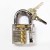 practice lock includes 12 pcs Manganese steel crochet locksmith tools Transparent practice lock HS020175