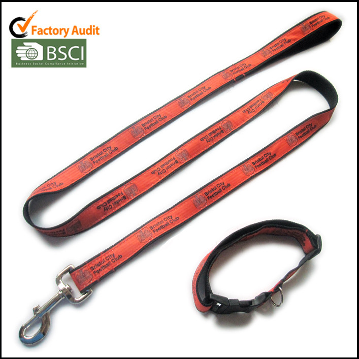 polyester dog leashes