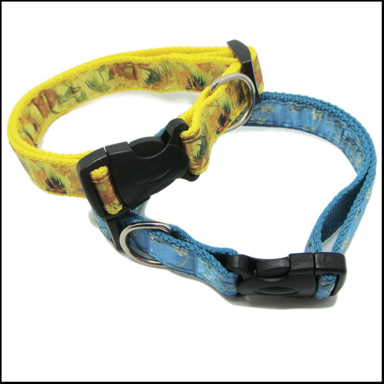 dog collar and dog belt