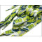Green sublimation ctuom logo glossy strap for shoe string