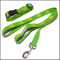 Wholesale low price custom silk-screen printing logo green polyester dog leashes and collar