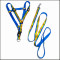 Fashion heat transfer pet tracer straps for dog walking belt