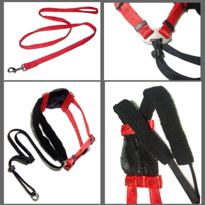 Popular red and black Corset for dog leash