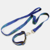 Thickening reinforcing the ink printing pet traction rope pet collar two-piece outfit