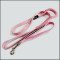 Secure with a glance of the pink elastic pet collar dog leash
